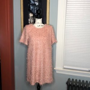 Love Riche Blush Short-Sleeved Shift Dress